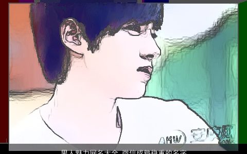 男人魅力网名大全 微信成熟稳重的名字 2024帅气成熟的男网名微信名字最新