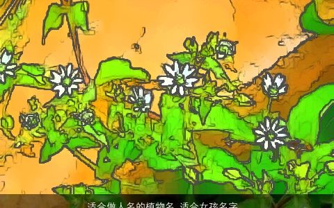 适合做人名的植物名 适合女孩名字大全的花名 好听稀少的女孩名字大全