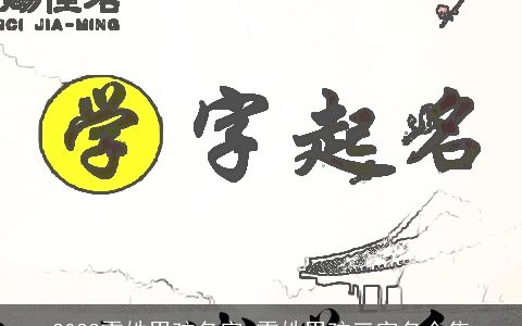 2024雷姓男孩名字 雷姓男孩三字名合集