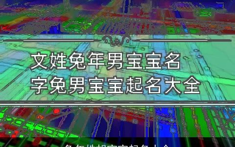 兔年姓胡宝宝起名大全