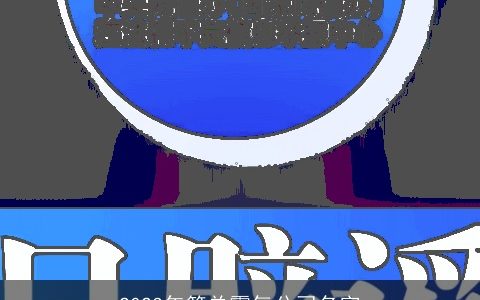 2024年简单霸气公司名字