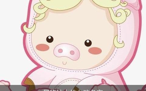 属猪缺木的女孩名字