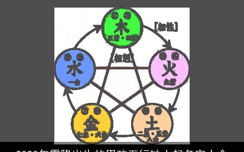 2024年霜降出生的男孩五行缺土起名字大全