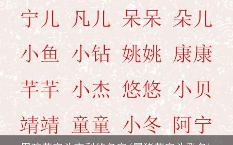 男孩草字头吉利的名字(属猪草字头乳名)