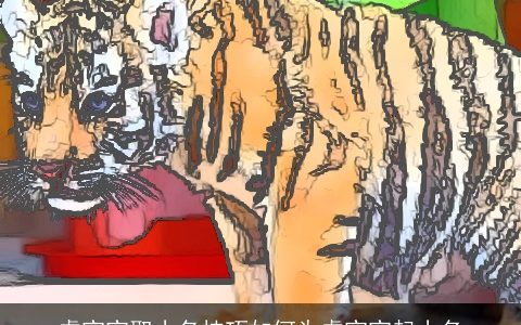 虎宝宝取小名技巧如何为虎宝宝起小名