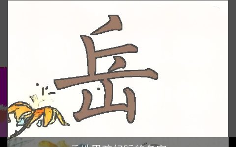 岳姓男孩好听的名字