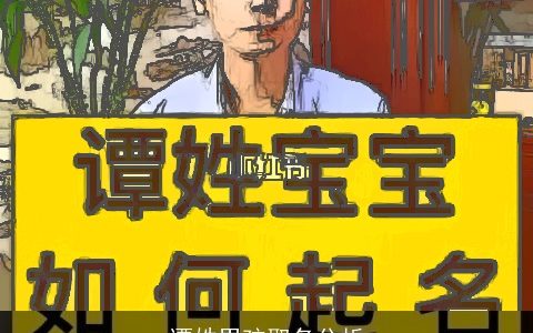 谭姓男孩取名分析