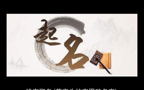 皓字取名(草字头的字男孩名字)