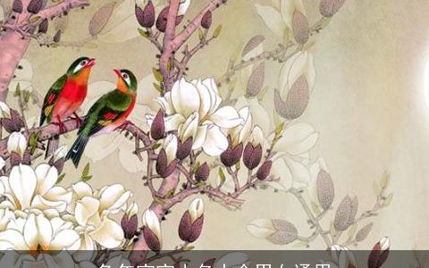 兔年宝宝小名大全男女通用