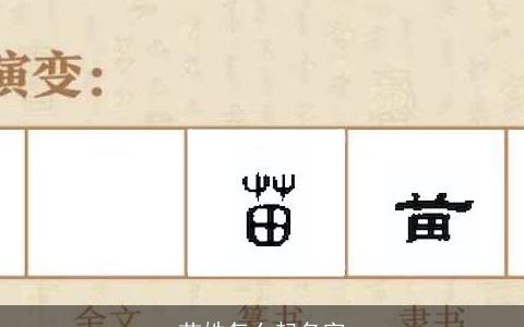 苗姓怎么起名字