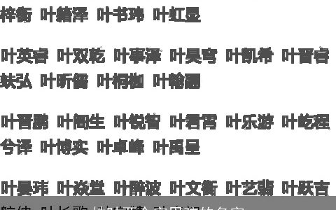 姓叶两个字男孩的名字