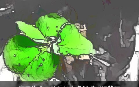 寓意生命力顽强的小名能增强运势吗