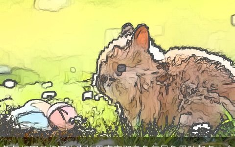 兔年闰四月初四出生的男宝宝取名兔年属兔男孩起名大全