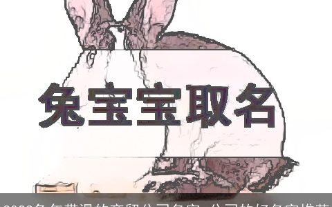 2024兔年带温的商贸公司名字 公司的好名字推荐