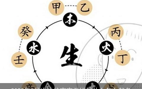 2024年2月出生的宝宝五行属什么怎么起名