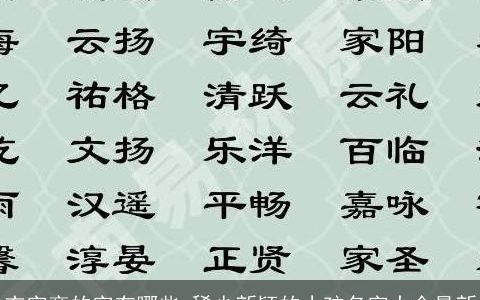 衣字旁的字有哪些 稀少新颖的小孩名字大全最新