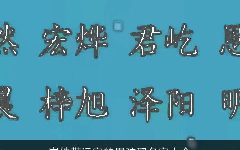 岑姓带远字的男孩取名字大全