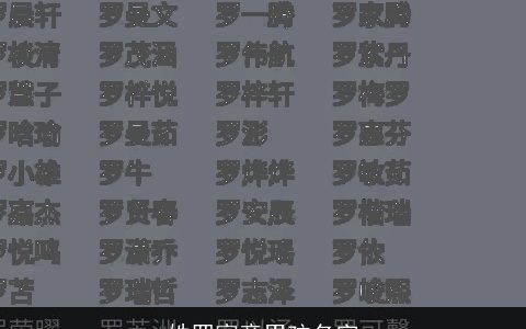 姓罗寓意男孩名字