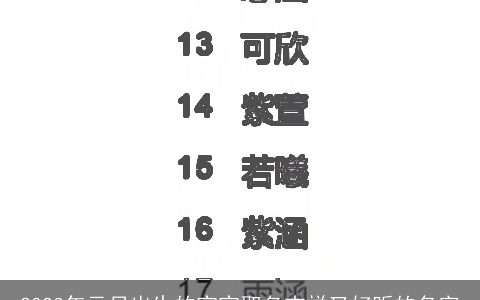 2023年元旦出生的宝宝取名吉祥又好听的名字