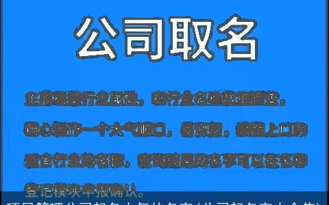 项目管理公司起名大气的名字(公司起名字大全集)