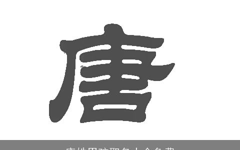 唐姓男孩取名大全免费