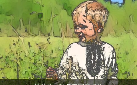 姓孙的男孩名字寓意好的