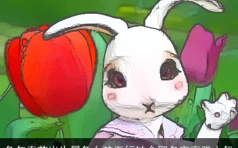 兔年春节出生属兔女孩五行缺金取名字高雅大气