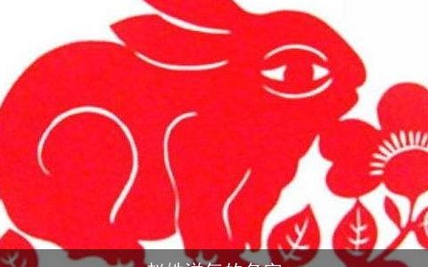 赵姓洋气的名字