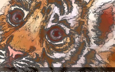 属兔宝宝小名大全创意可爱2023 创意可爱的虎宝宝小名名字