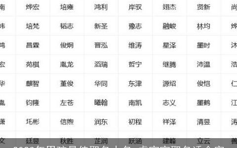 2024年男孩最佳取名小名 虎宝宝取名适合字