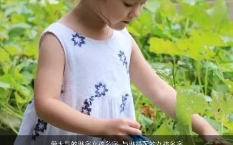 带大气的琳字女孩名字 与琳搭配的女孩名字大全 2023好听大气的带大字女孩名字大全
