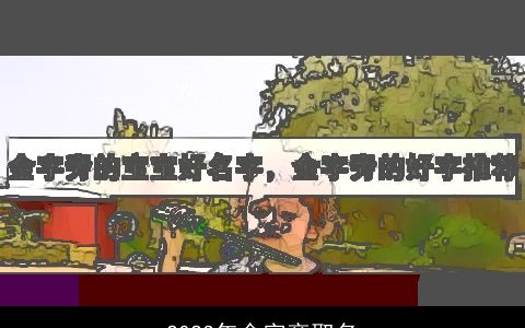 2023年金字旁取名