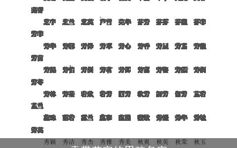 袁带艺字的男孩名字