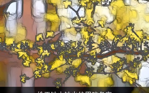 姓王缺木缺火的男孩名字