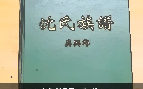 沈氏起名字大全男孩