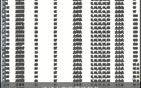 姓杨文字辈男孩起名