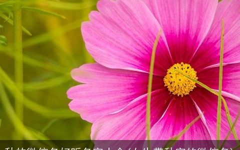 秋的微信名好听名字大全(女生带秋字的微信名)