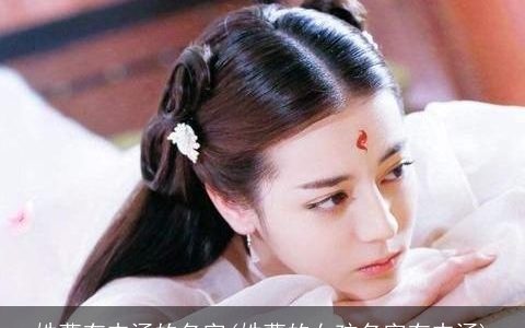 姓曹有内涵的名字(姓曹的女孩名字有内涵)