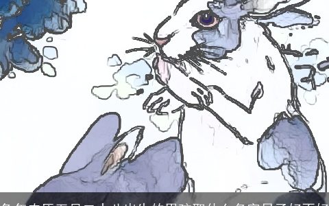 兔年农历五月二十八出生的男孩取什么名字日子好不好