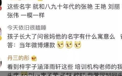 好听的家族名称霸气(四个孩子组合起名)