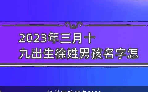 徐姓男孩取名2023