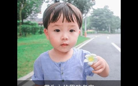 带为之的男孩名字