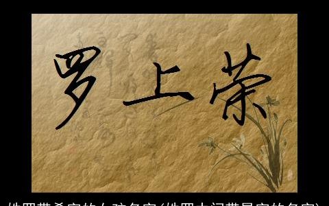 姓罗带希字的女孩名字(姓罗中间带昊字的名字)