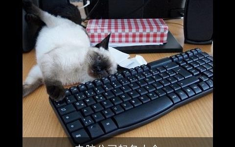 电脑公司起名大全