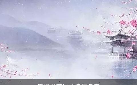 诗经里带辰的诗句名字