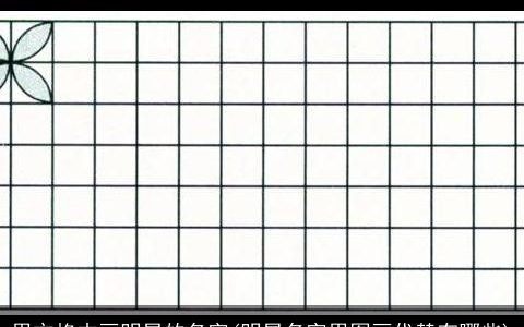 用方格本画明星的名字(明星名字用图画代替有哪些)