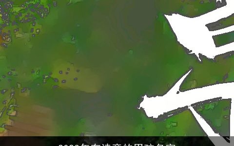 2023年有诗意的男孩名字