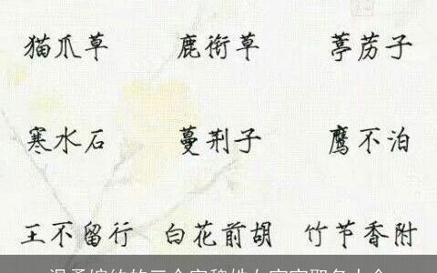 温柔婉约的三个字魏姓女宝宝取名大全