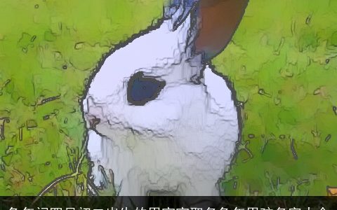 兔年闰四月初二出生的男宝宝取名兔年男孩名字大全