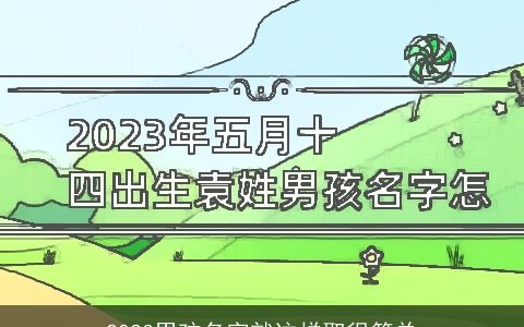 2023男孩名字就这样取很简单
